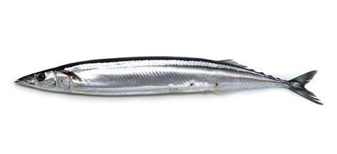 煮物、汁物で魚を無駄なく摂ろう
